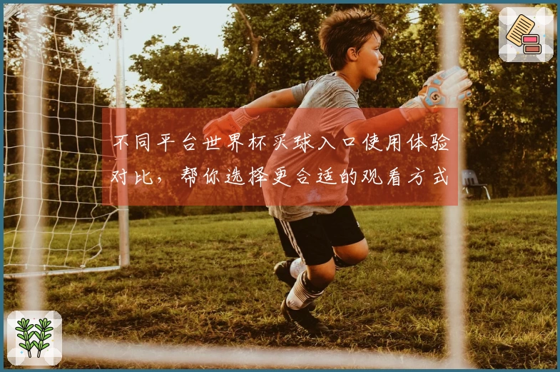 不同平台世界杯买球入口使用体验对比,帮你选择更合适的观看方式