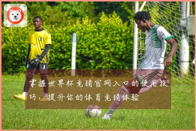 掌握世界杯竞猜官网入口的使用技巧，提升你的体育竞猜体验