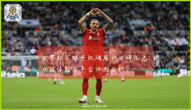 世界杯买球手机端用户口碑汇总：功能体验与平台评测分析