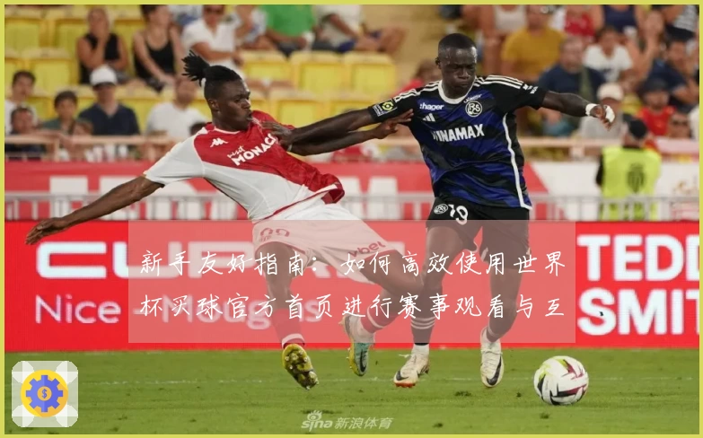 新手友好指南：如何高效使用世界杯买球官方首页进行赛事观看与互动