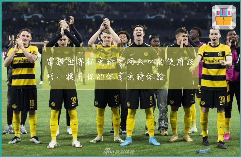 掌握世界杯竞猜官网入口的使用技巧，提升你的体育竞猜体验