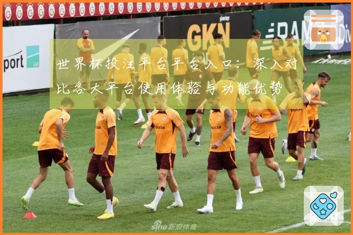 世界杯投注平台平台入口：深入对比各大平台使用体验与功能优势