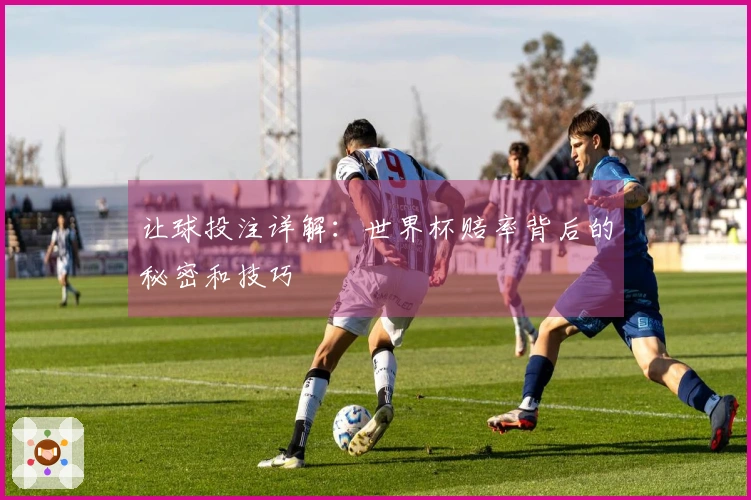 让球投注详解：世界杯赔率背后的秘密和技巧