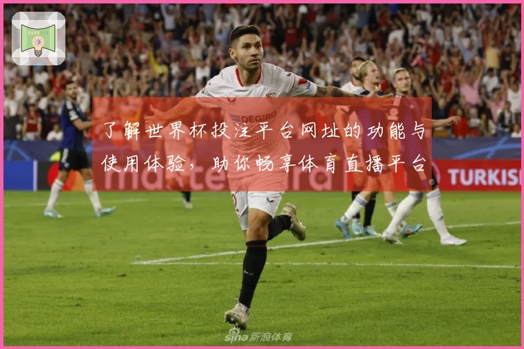 了解世界杯投注平台网址的功能与使用体验，助你畅享体育直播平台带来的乐趣