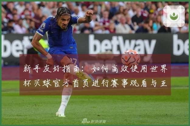 新手友好指南：如何高效使用世界杯买球官方首页进行赛事观看与互动