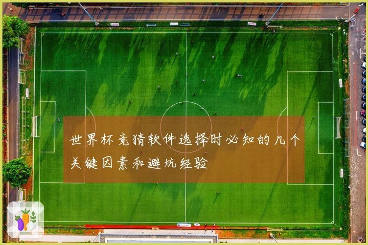 世界杯竞猜软件选择时必知的几个关键因素和避坑经验