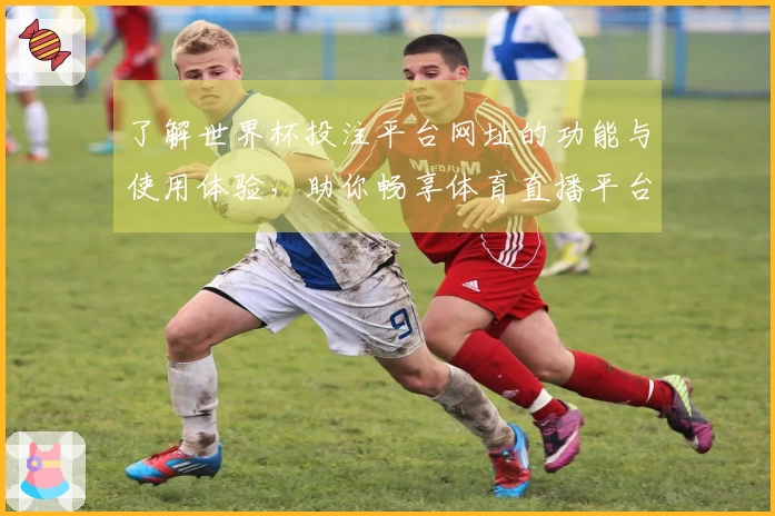 了解世界杯投注平台网址的功能与使用体验，助你畅享体育直播平台带来的乐趣