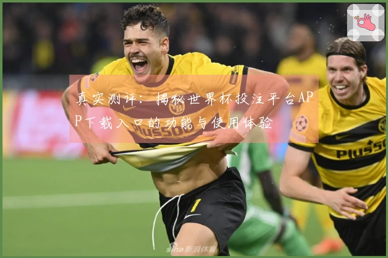 真实测评：揭秘世界杯投注平台APP下载入口的功能与使用体验