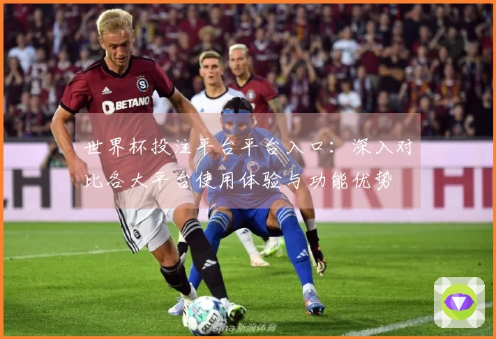 世界杯投注平台平台入口:深入对比各大平台使用体验与功能优势